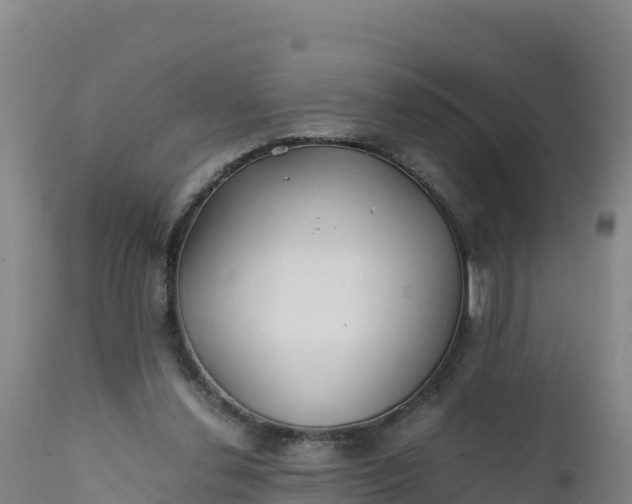 X0000112400252200908281757