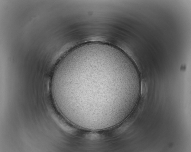 X0000112400253200908281757