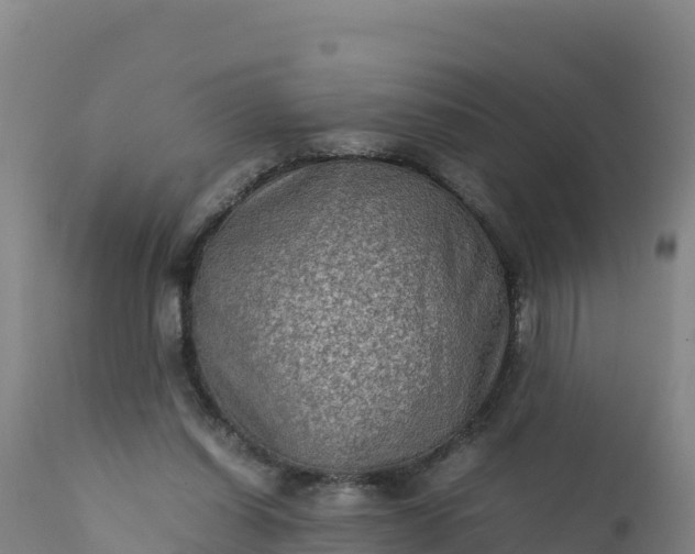 X0000112400254200908281757
