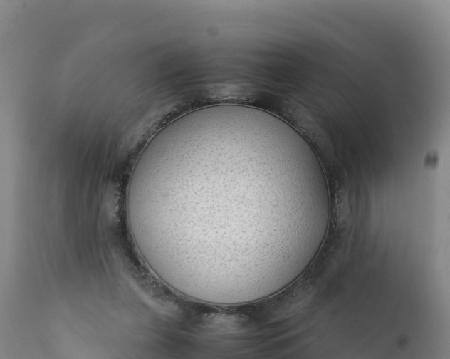 X0000112400255200908281757