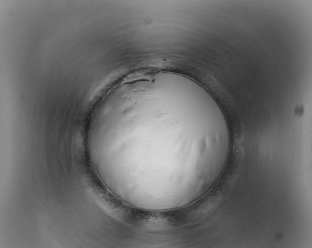 X0000112400256200908281757