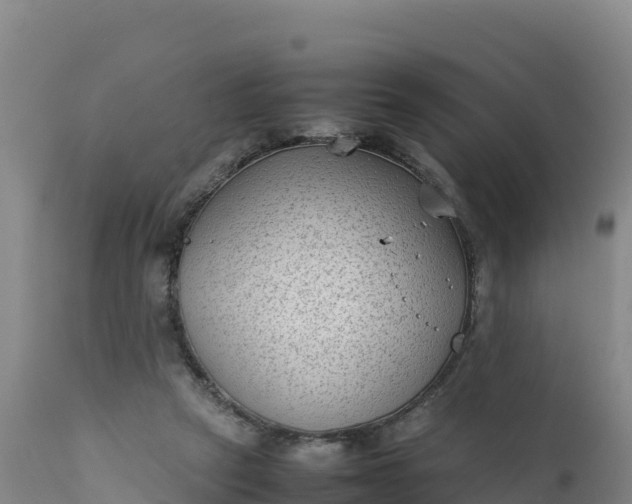 X0000112400257200908281757