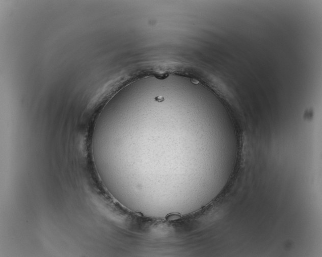 X0000112400258200908281757
