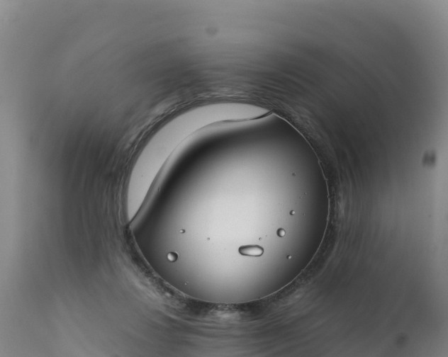 X0000112400260200908281757