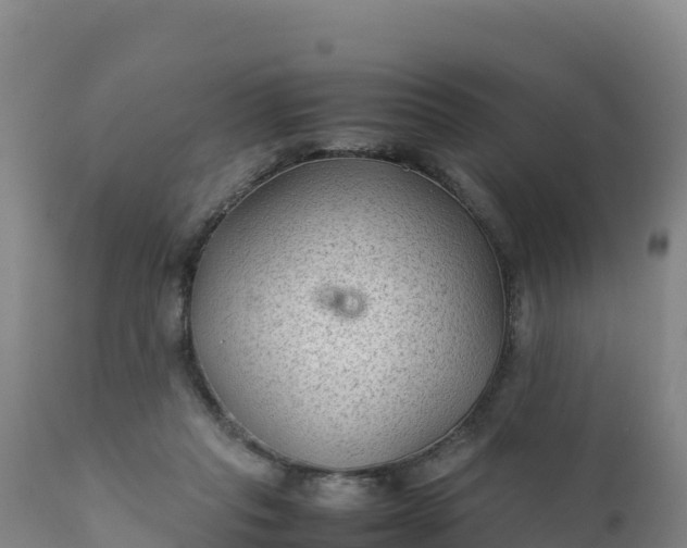 X0000112400261200908281757