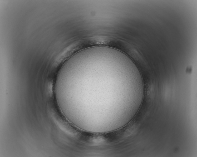 X0000112400262200908281757