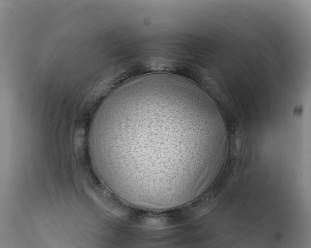 X0000112400263200908281757