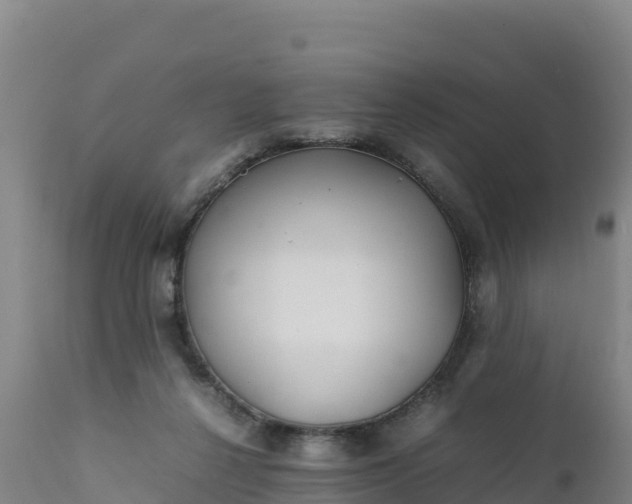 X0000112400264200908281757
