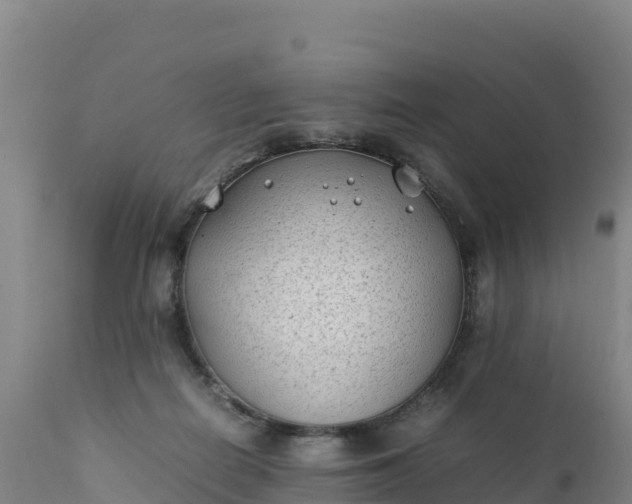 X0000112400266200908281757