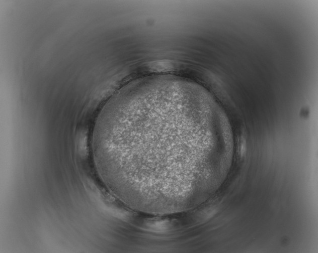 X0000112400267200908281757