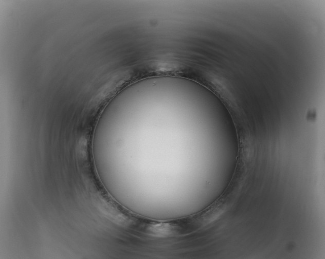 X0000112400269200908281757