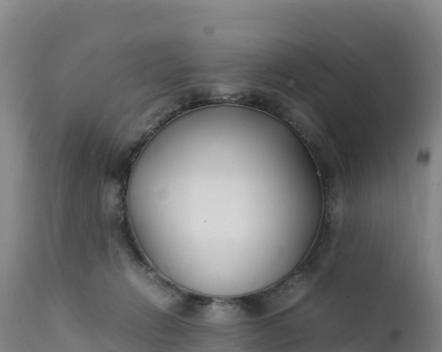 X0000112400270200908281757