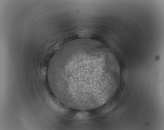 X0000112400271200908281758
