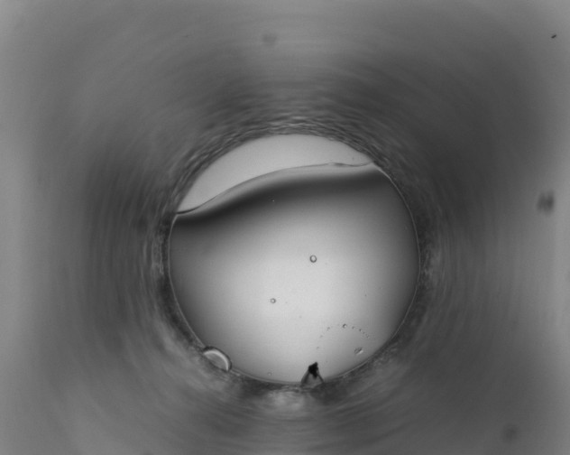 X0000112400272200908281758