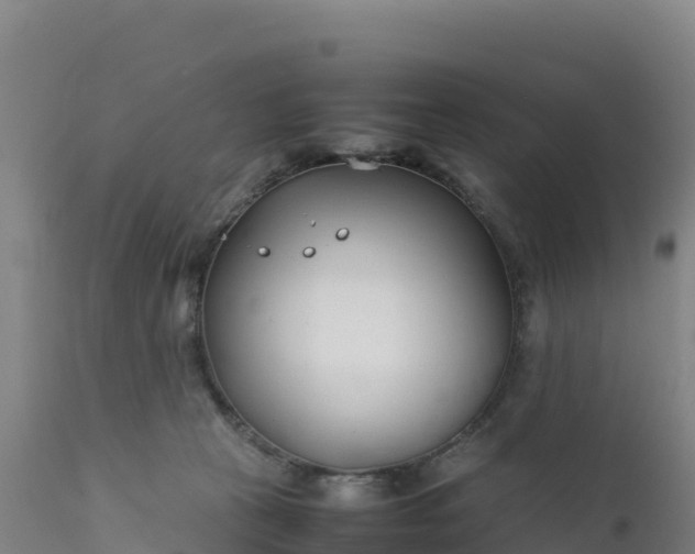 X0000112400273200908281758