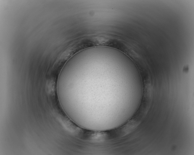 X0000112400274200908281758