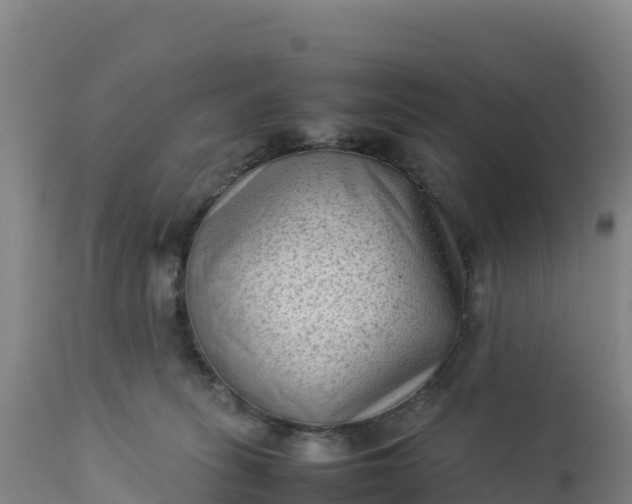 X0000112400275200908281758