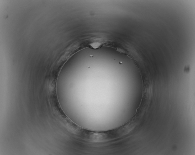 X0000112400277200908281758