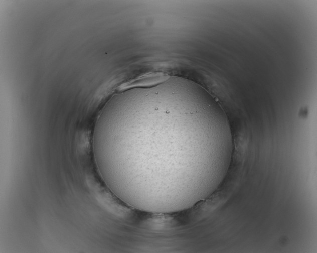 X0000112400278200908281758
