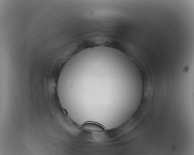 X0000112400279200908281758
