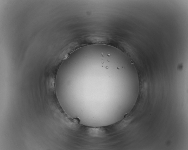 X0000112400281200908281758