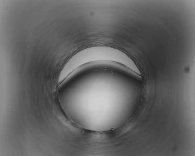 X0000112400284200908281758