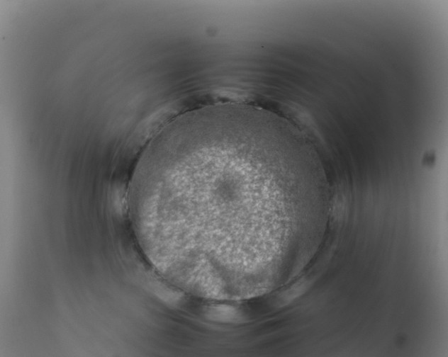 X0000112400285200908281758