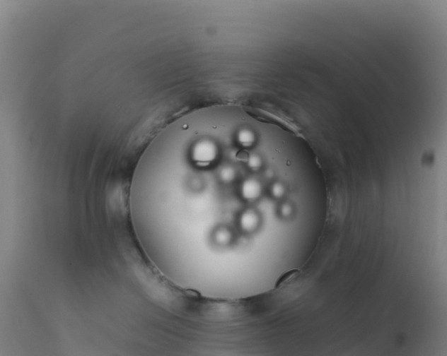 X0000112400286200908281758