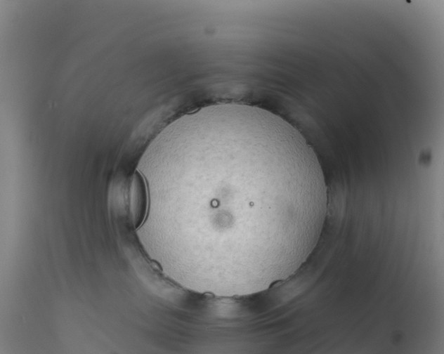 X0000112400287200908281758