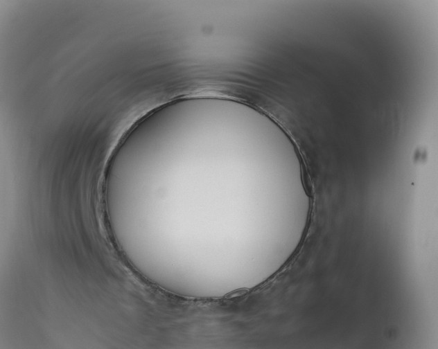 X0000112400289200908281757