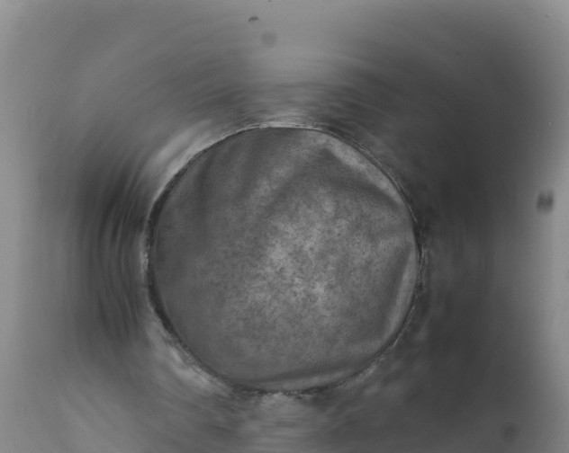 X0000112400290200908281757