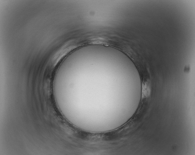 X0000112400291200908281757