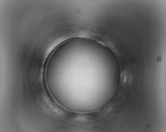 X0000112400292200908281757