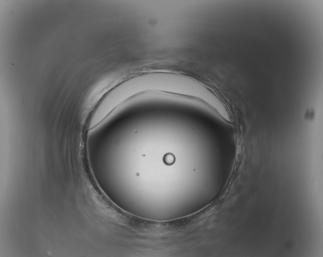 X0000112400293200908281757