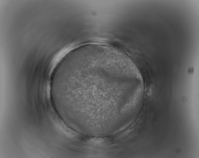 X0000112400294200908281757