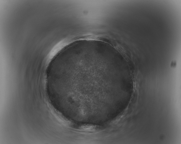 X0000112400295200908281757