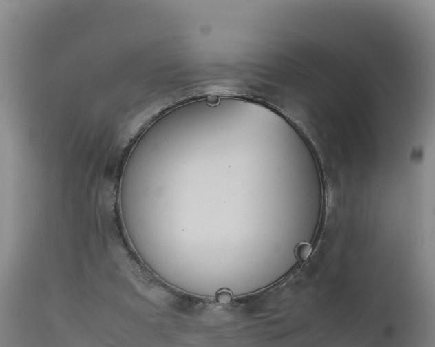 X0000112400297200908281757