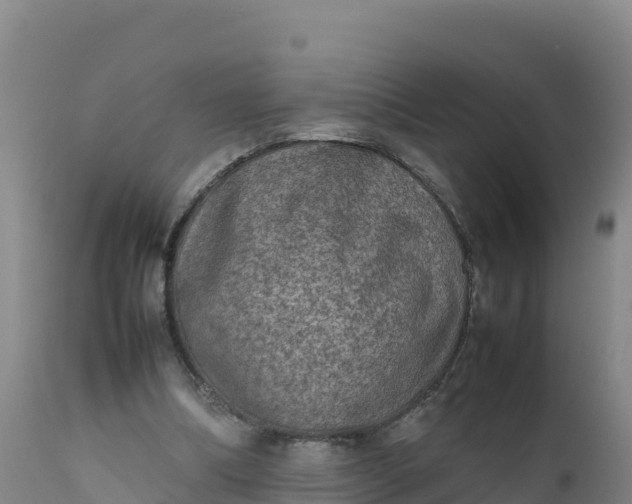 X0000112400298200908281757