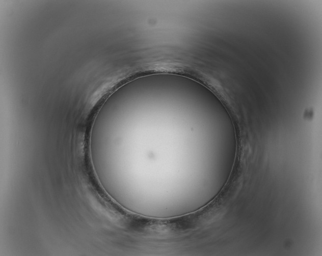 X0000112400299200908281757