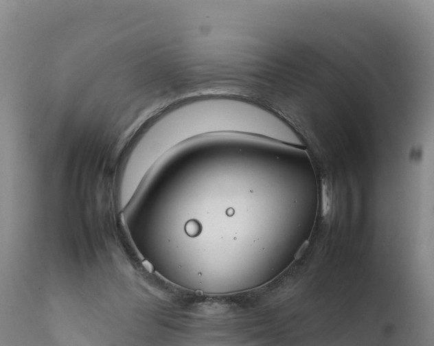 X0000112400300200908281757