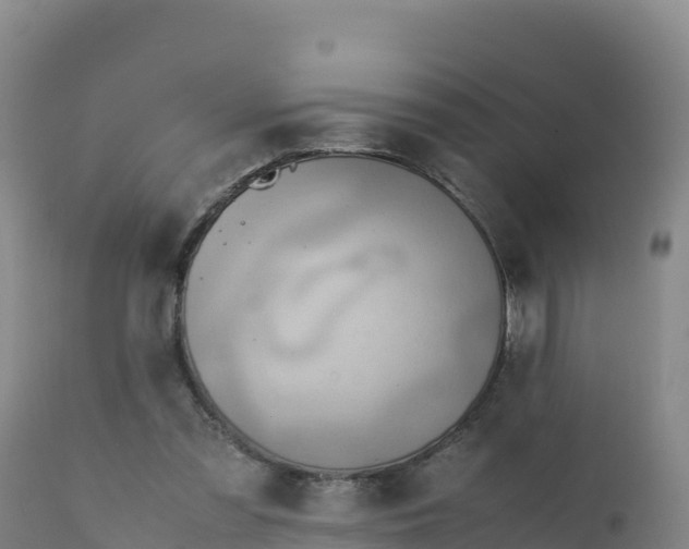 X0000112400301200908281757
