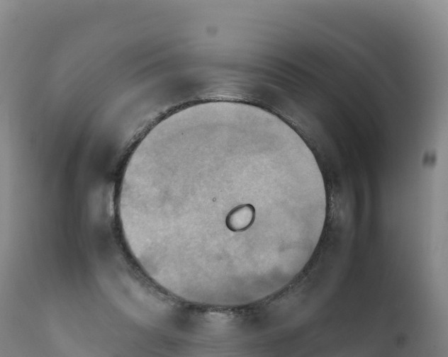 X0000112400302200908281757