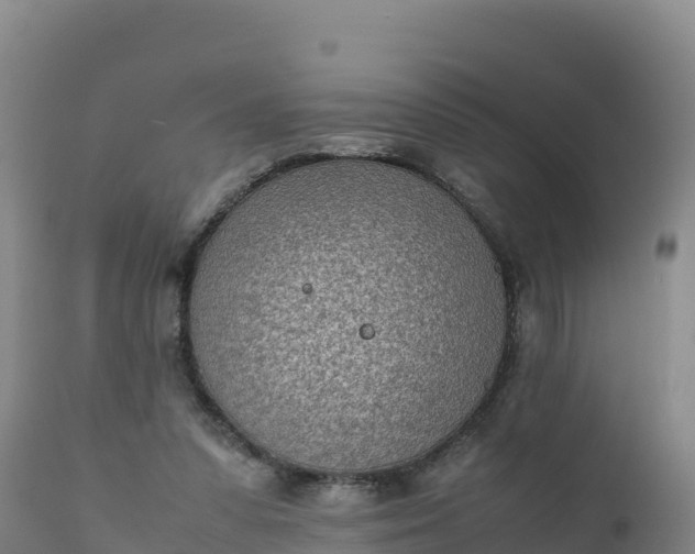 X0000112400303200908281757