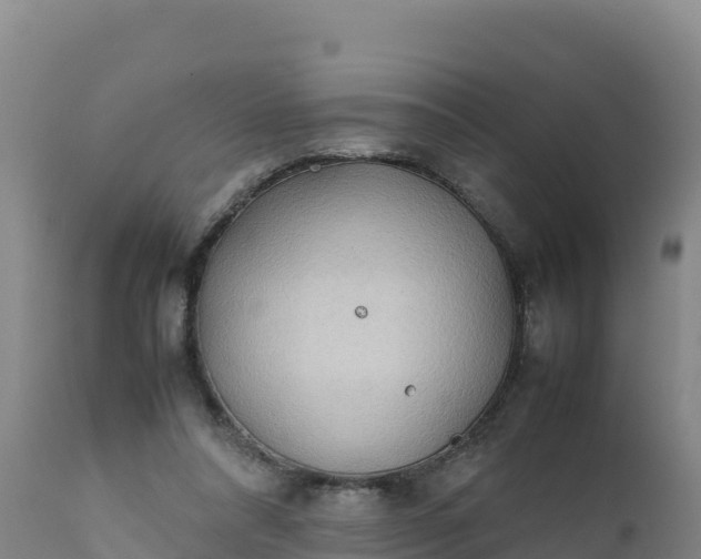 X0000112400304200908281757