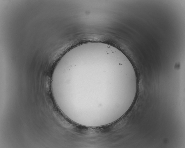 X0000112400305200908281757
