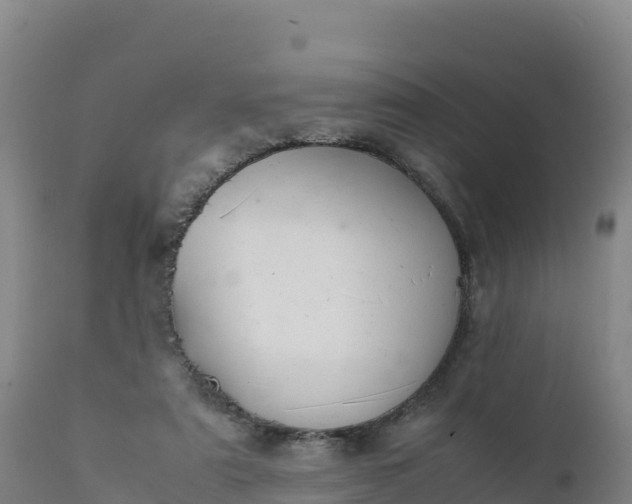 X0000112400307200908281757