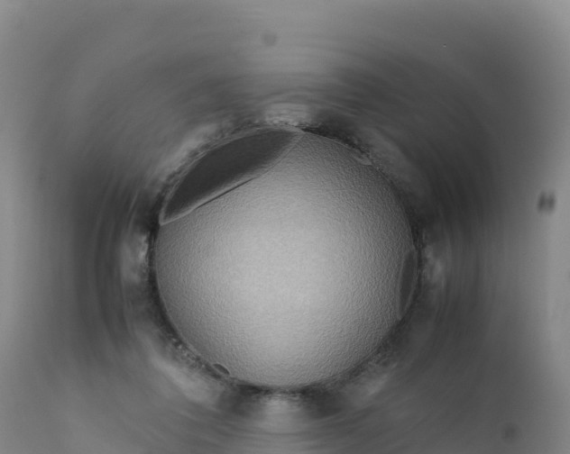 X0000112400308200908281757