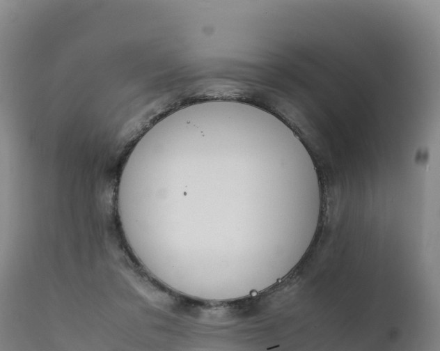 X0000112400309200908281757