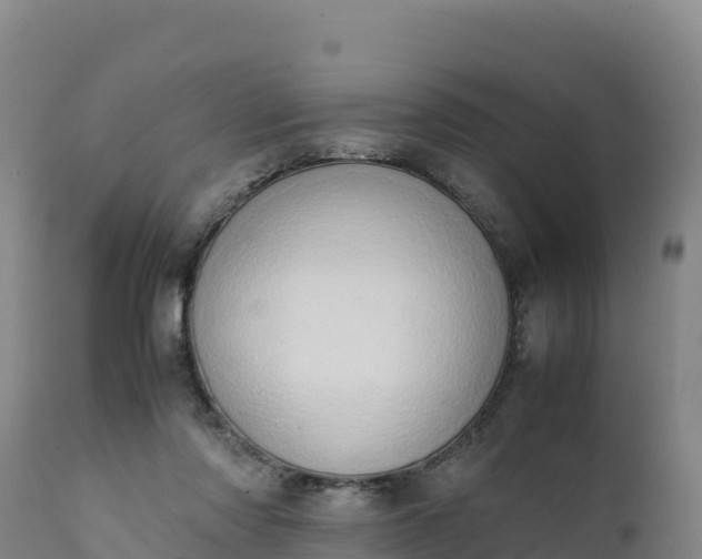X0000112400310200908281757