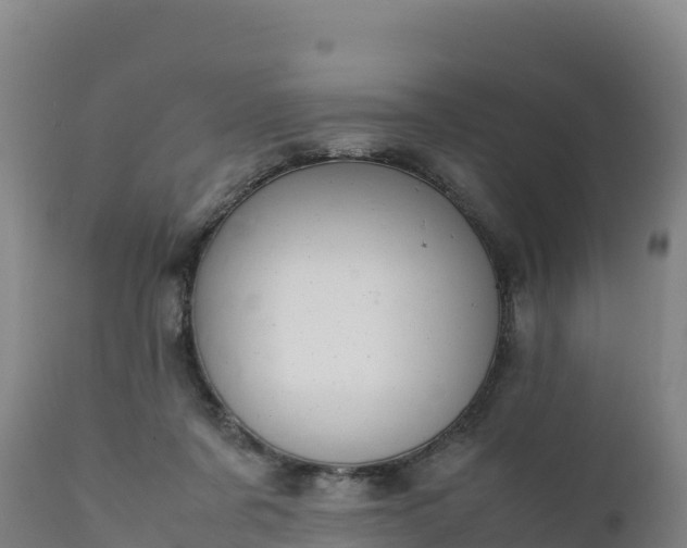 X0000112400311200908281757